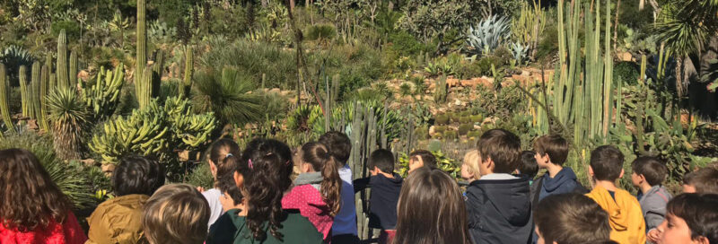 Jardí botànic Marimurtra