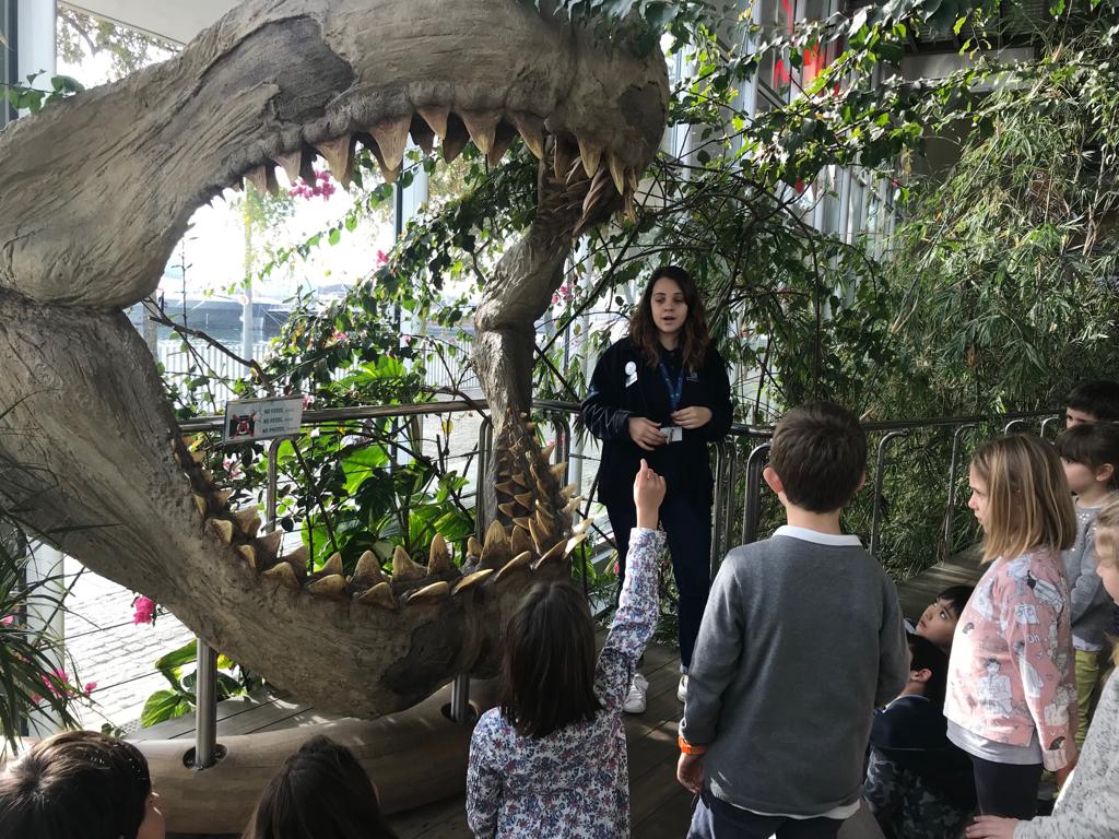 Sortides primària