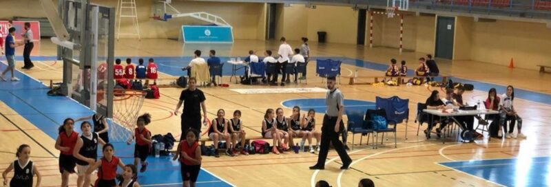 Torneig de bàsquet