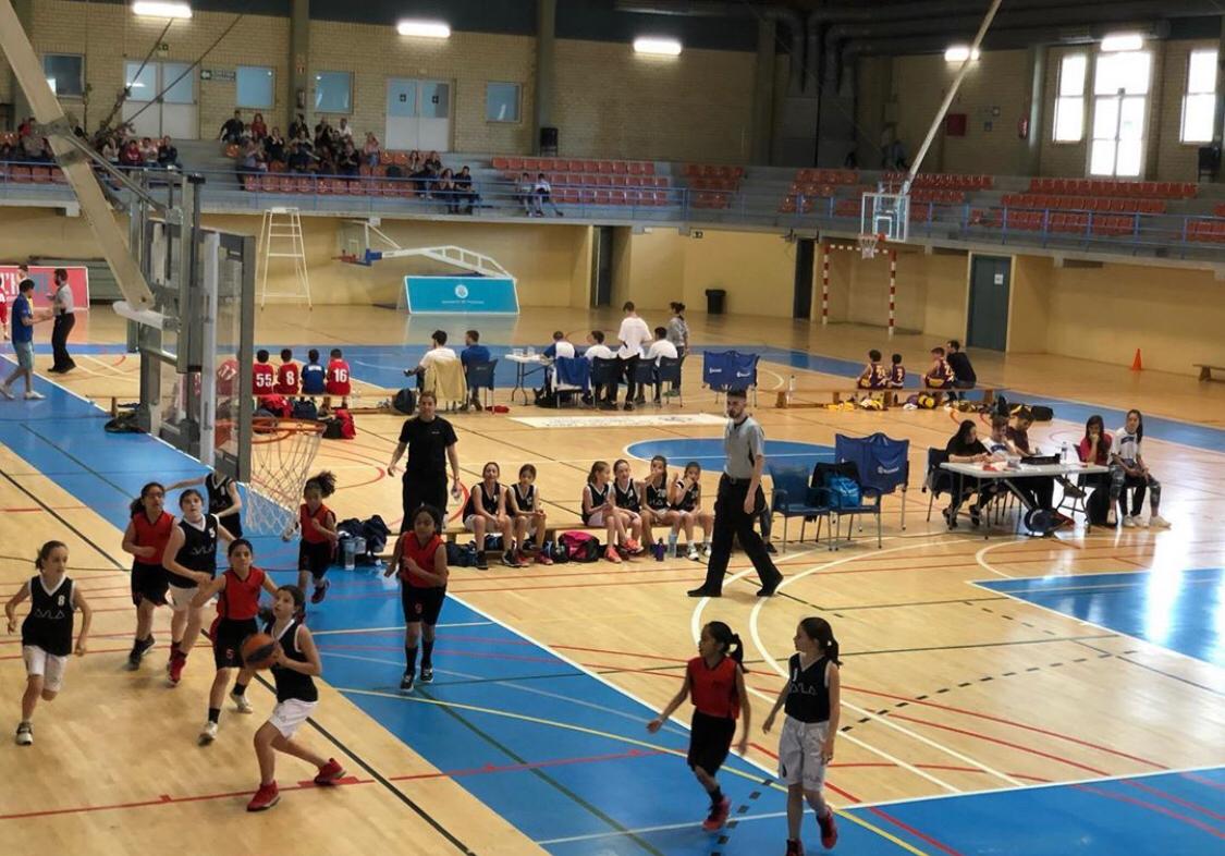 Torneig de bàsquet