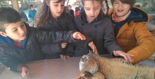 Toca-Toca a Navàs amb PII