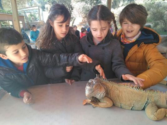 Toca-Toca a Navàs amb PII