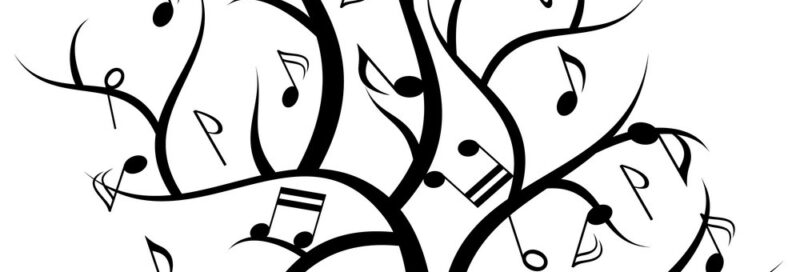 Música i llibres