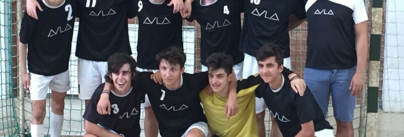 Campions d'handbol