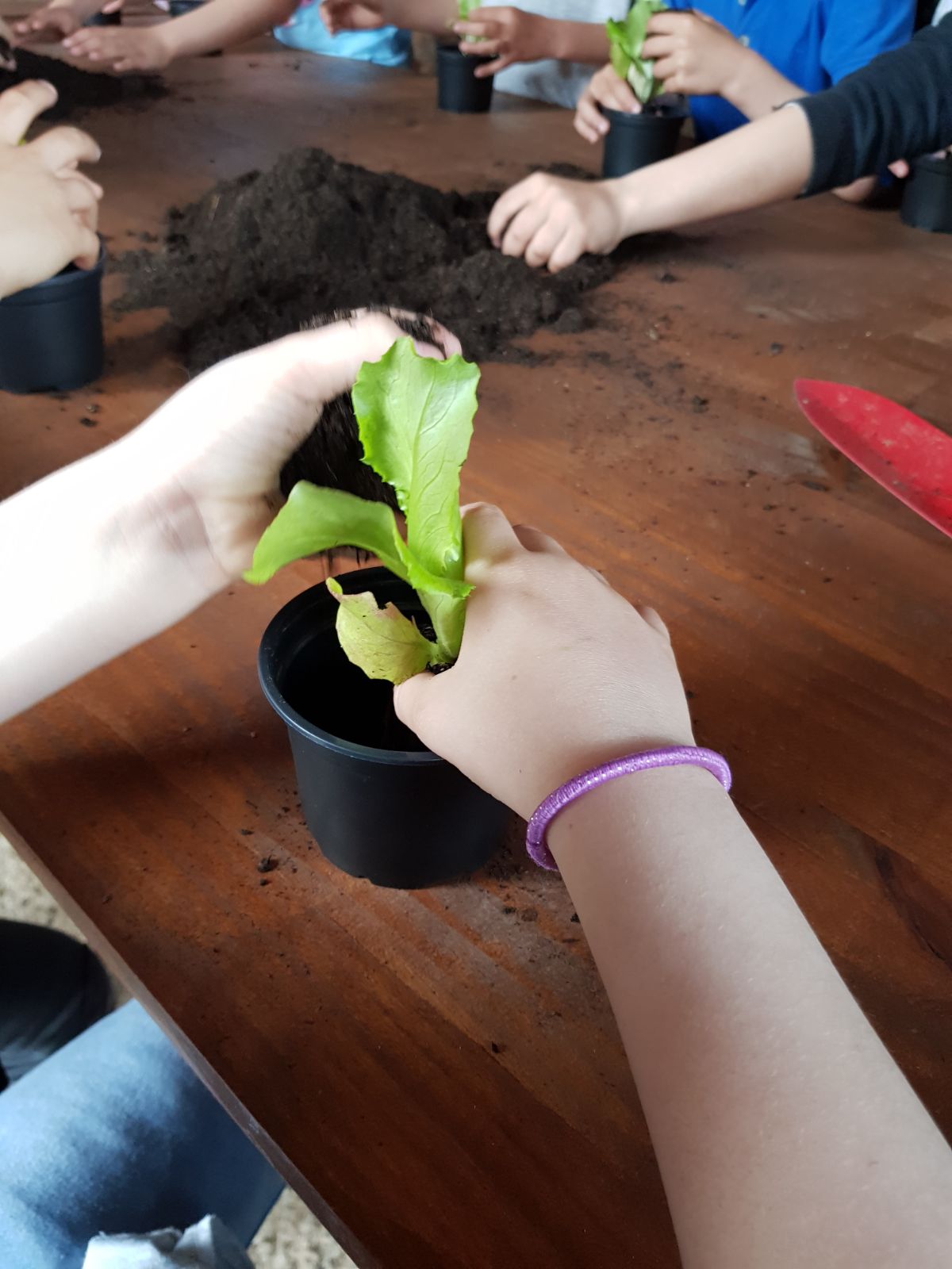Els alumnes de segon visiten l’hort ecològic Ca n’alzina