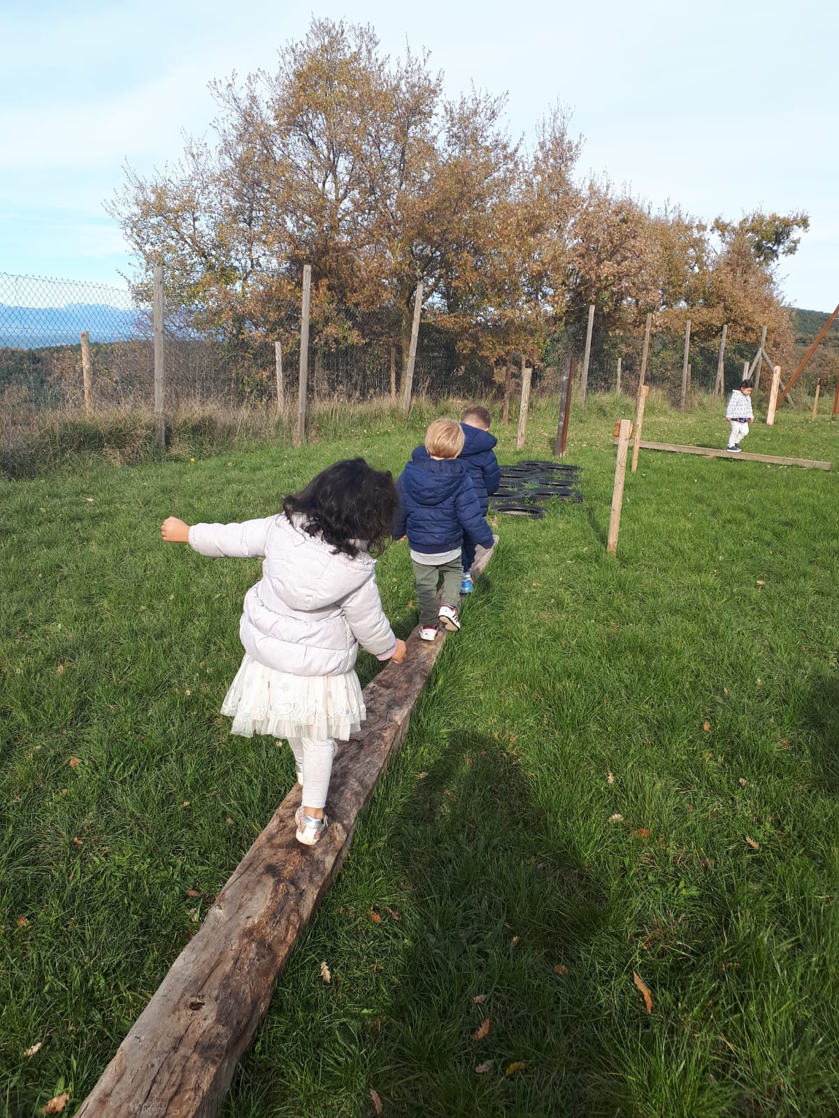 Taller vareta màgica