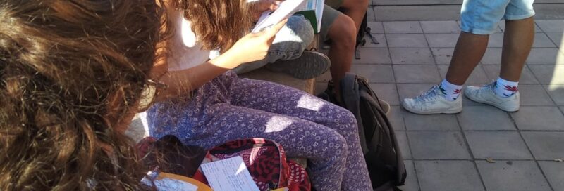 Proves d’Accés a la Universitat (PAU) i IB 2019