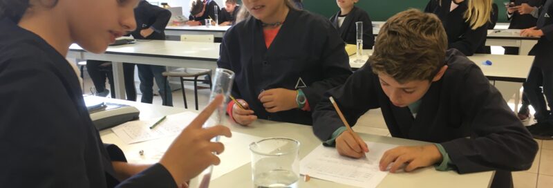 Comencem a treballar al laboratori