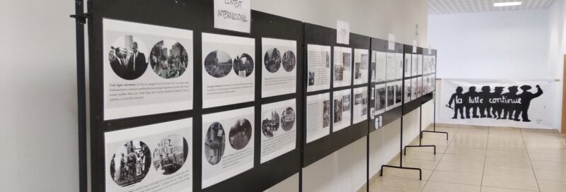 Exposicions
