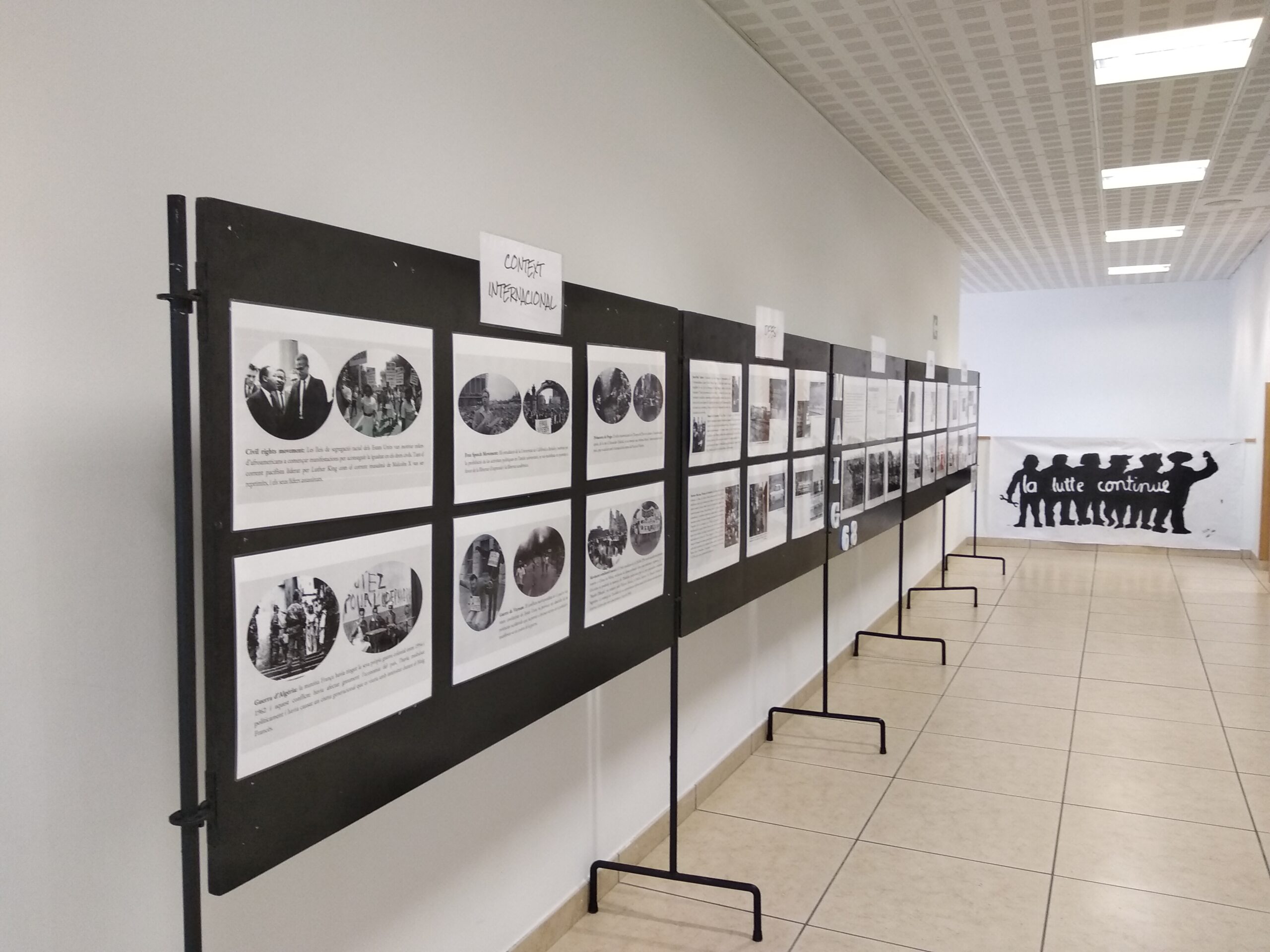 Exposicions