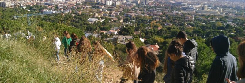 Activitats del mes de desembre