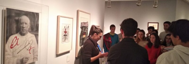 Visites culturals