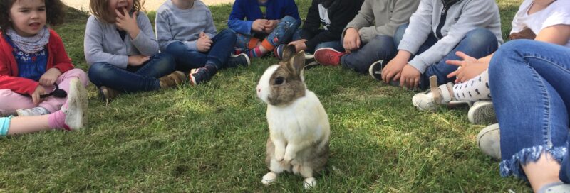 J3 visita la granja