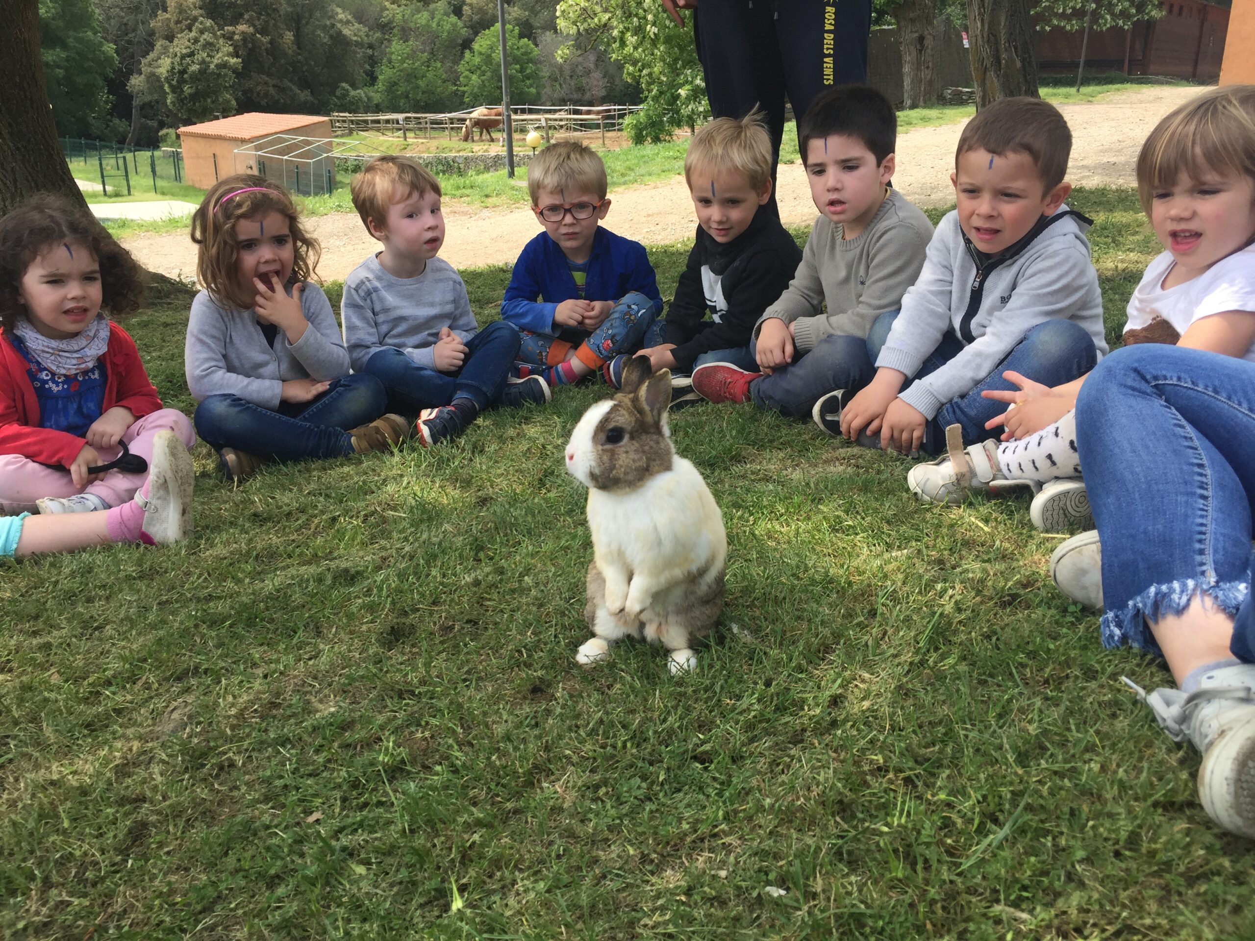 J3 visita la granja