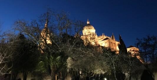 Visita a Salamanca i Alba de Tormes