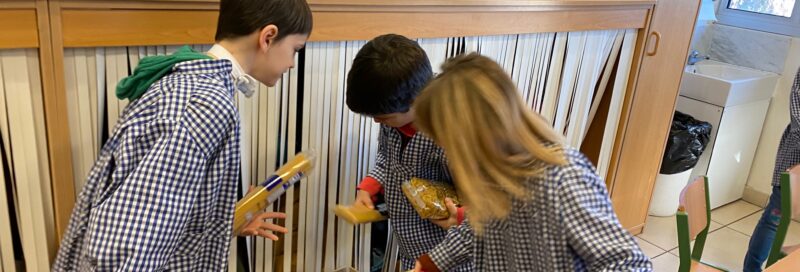 Activitats sobre el Banc dels Aliments
