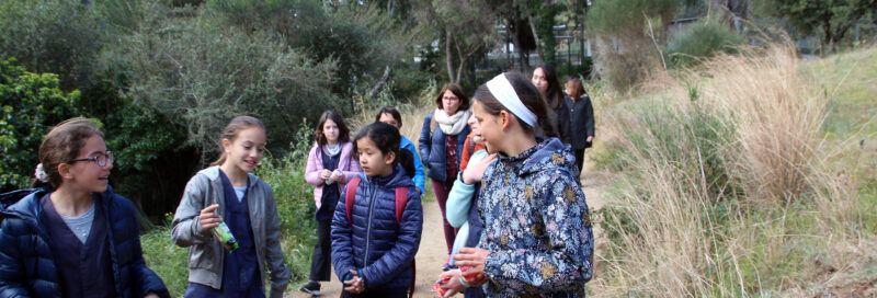 Visita de l'Escola Moragas