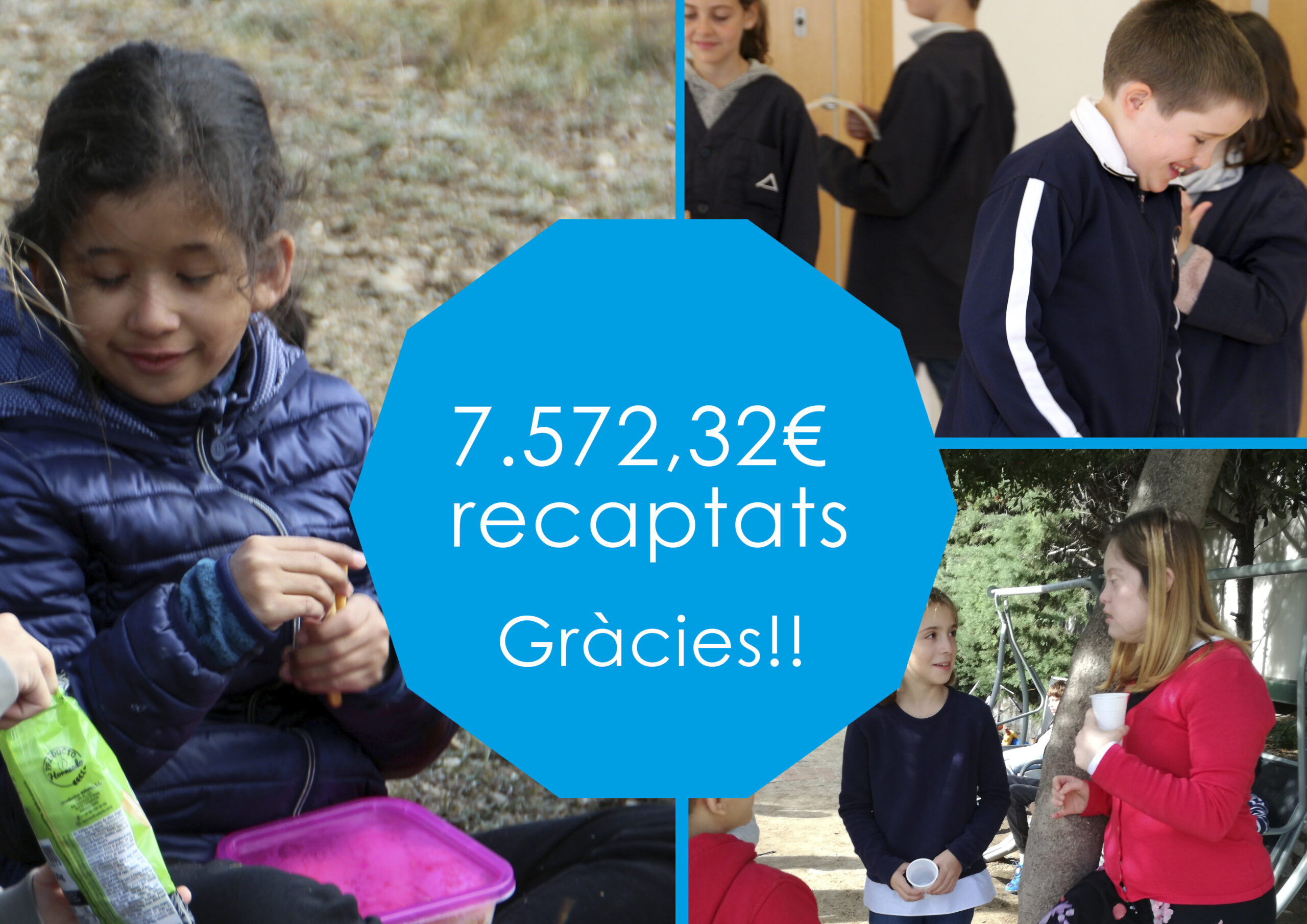 Moltes gràcies!